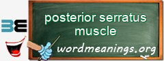 WordMeaning blackboard for posterior serratus muscle